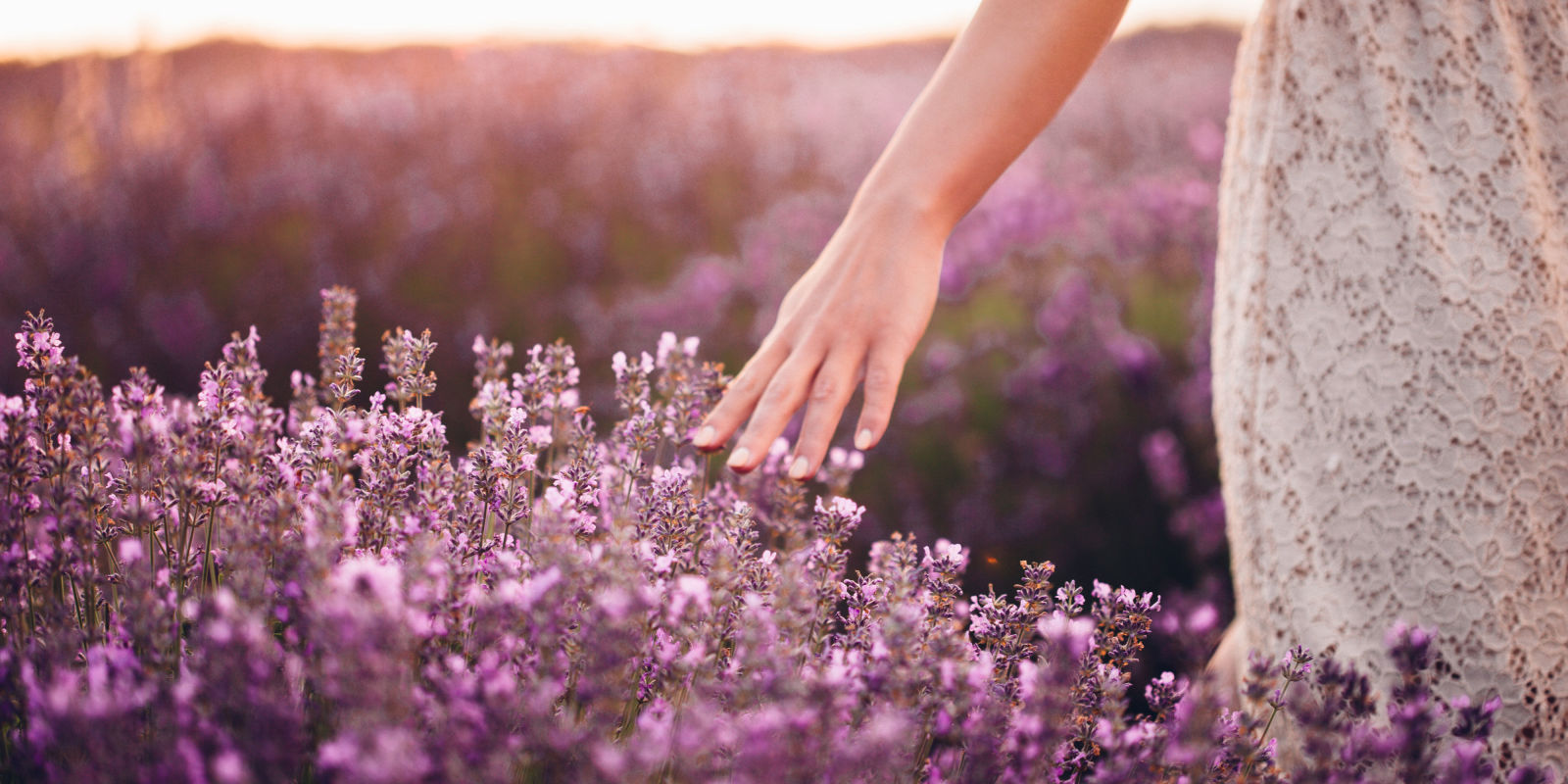 Can lavender pills *really* help with anxiety?